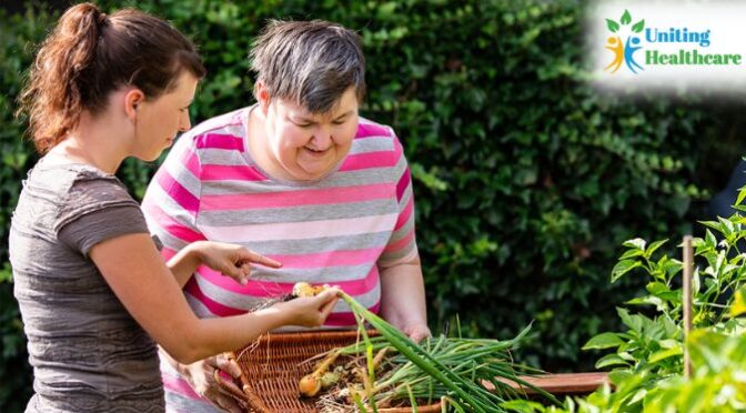 Key Facts You Must Know About Premium Respite Care